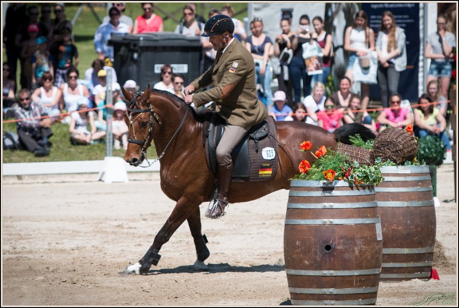 Pferd International 152